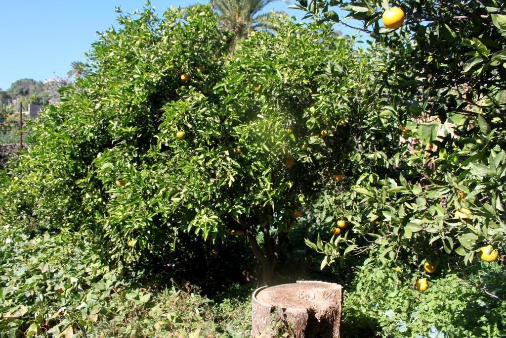 Hébergement de vacances Casa Rural El Liron